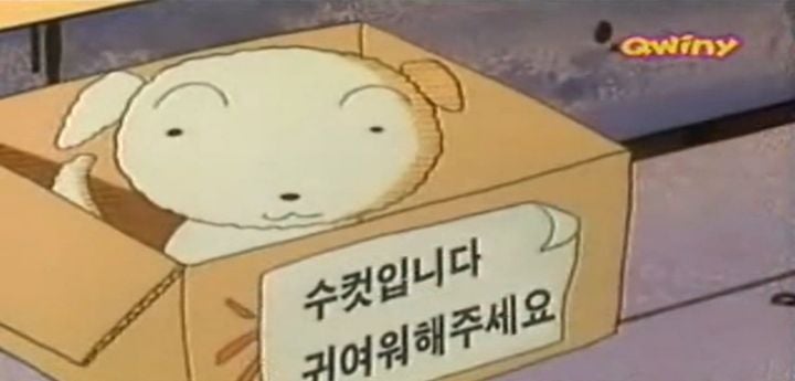 [짱구] 유기견이었던 흰둥이와 짱구의 첫만남 (약스압) | 인스티즈