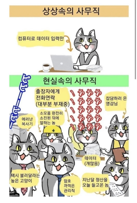 직장생활하면서 느낀점 말해보는 달글 | 인스티즈