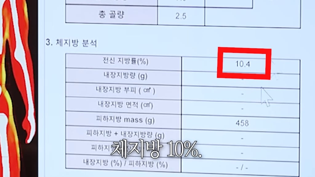 측정이 안되는 수준이라는 샤이니 민호 지방량 | 인스티즈