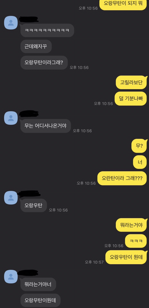 나 오랑우탄이 오랑우탄인거 2n년만에 앎 | 인스티즈