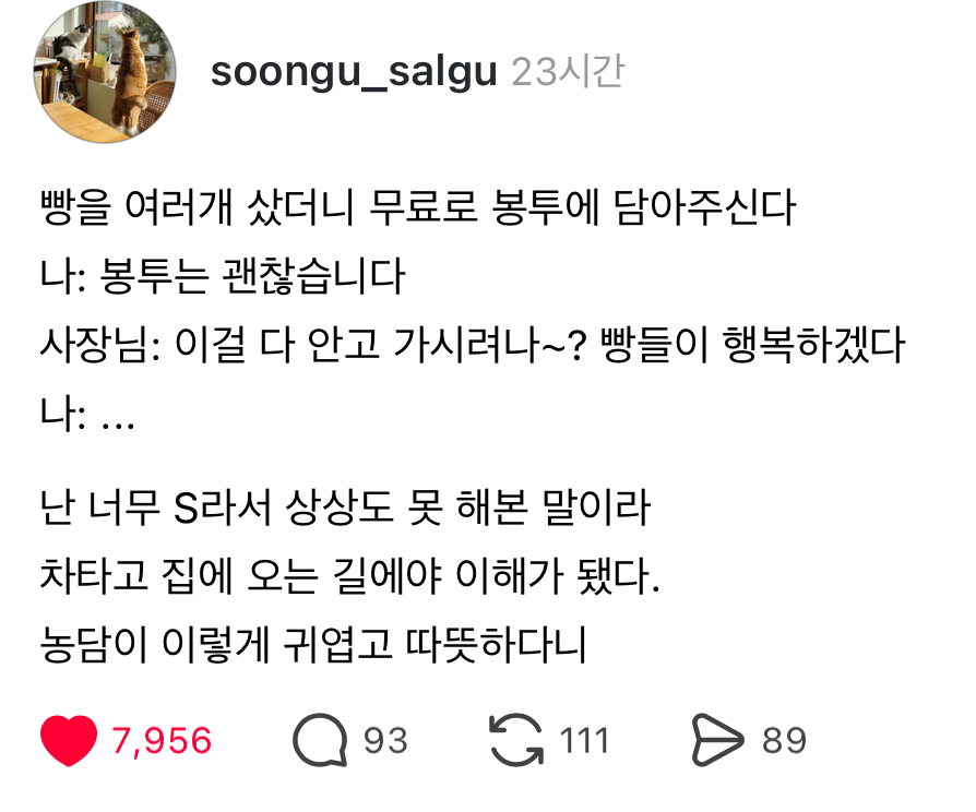 빵들이 행복하겠다 | 인스티즈