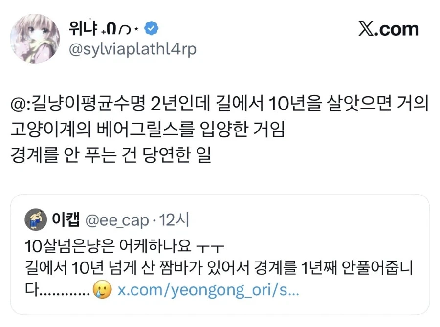 길냥이 입양했는데 경계를 안품 | 인스티즈
