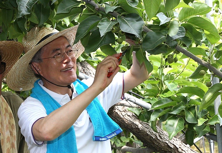 문재인 고시 장수생의 꿈.jpg | 인스티즈