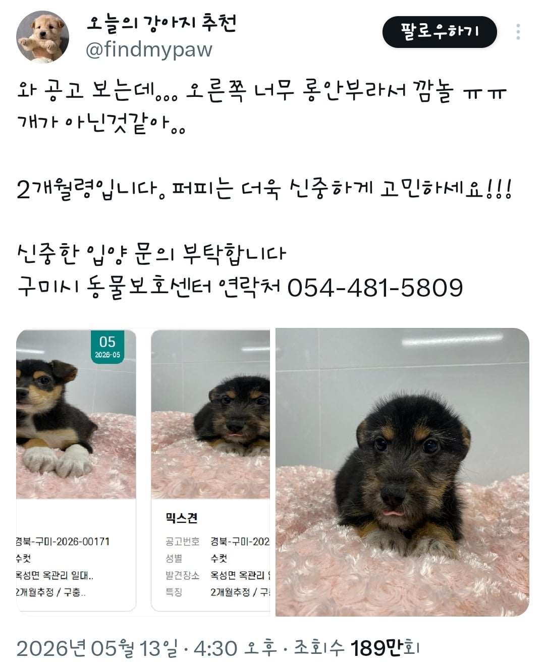 오른쪽 너무 롱안부라서 깜놀 ㅠㅠ개가 아닌것같아.. | 인스티즈