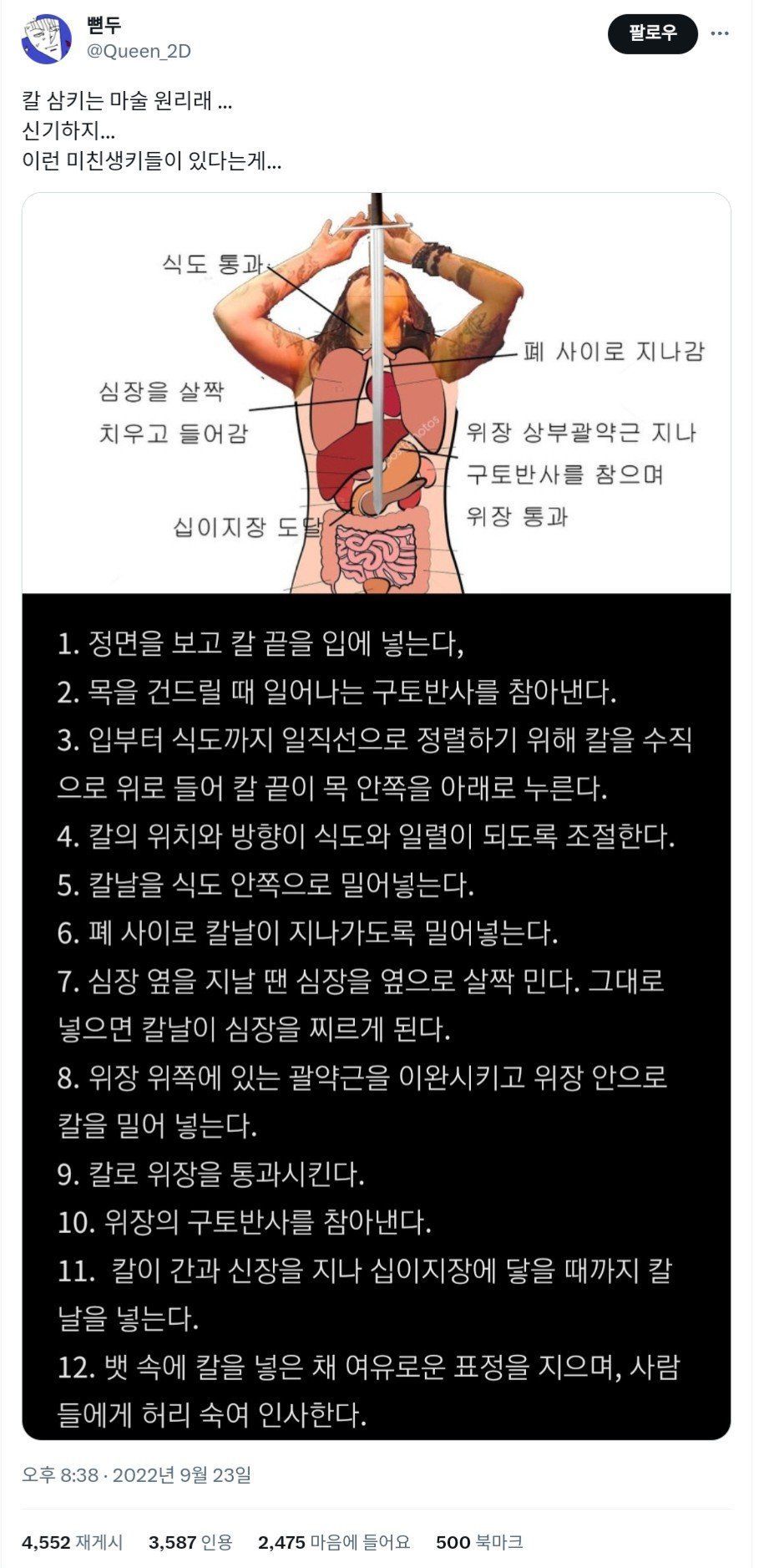 사람들이 잘 모르는 칼 삼키기 마술의 원리 | 인스티즈