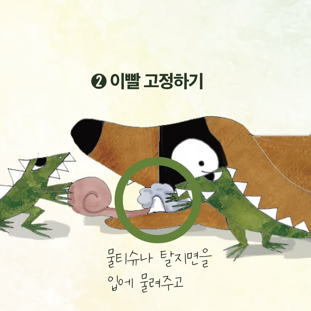 우리집 강아지가 죽으면 해야할 일.jpg | 인스티즈