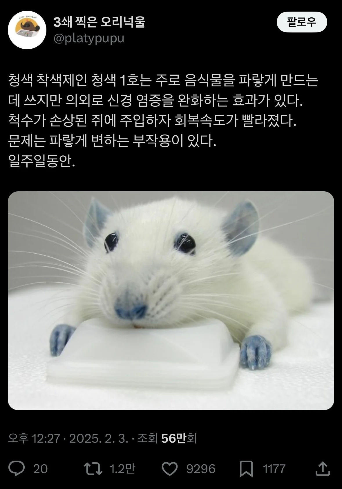 청색 1호 식용색소의 의외의 효능 | 인스티즈