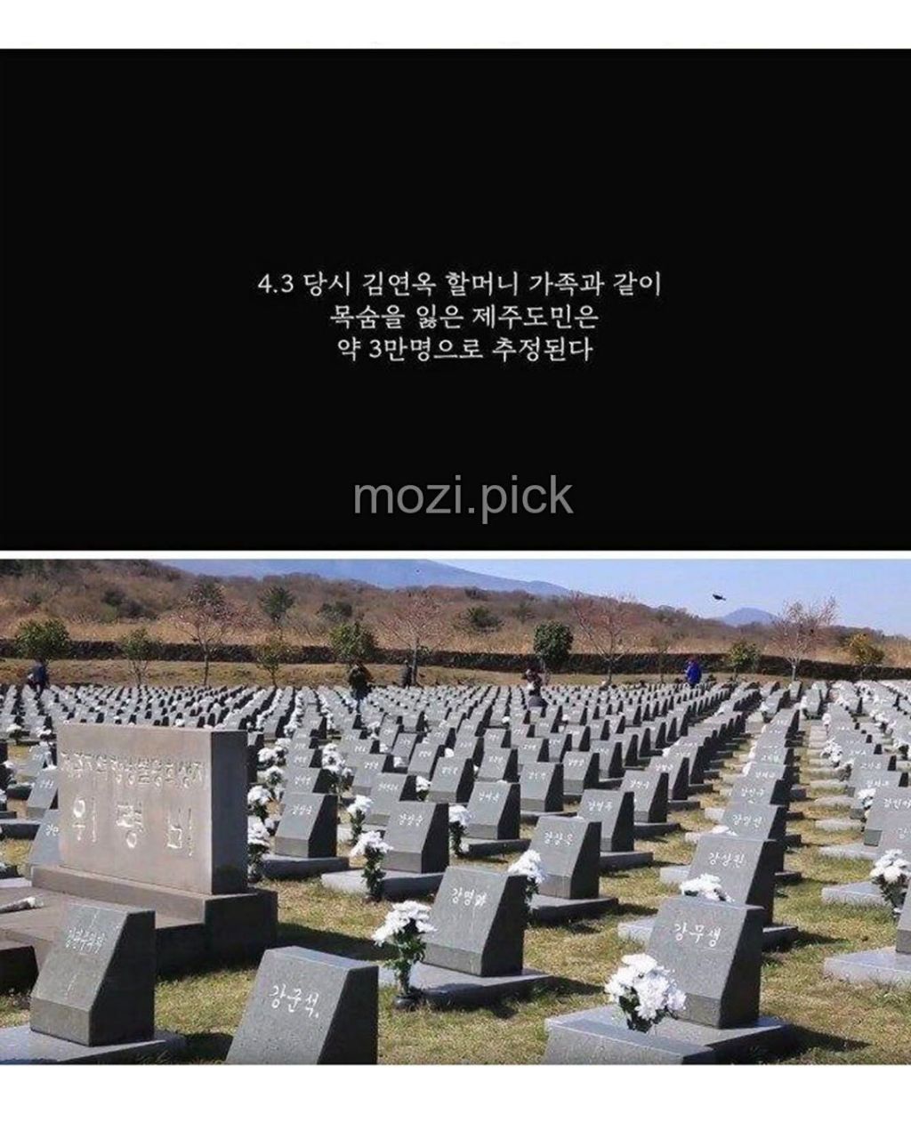 제주도 할머니가 생선을 먹지않는 이유 | 인스티즈