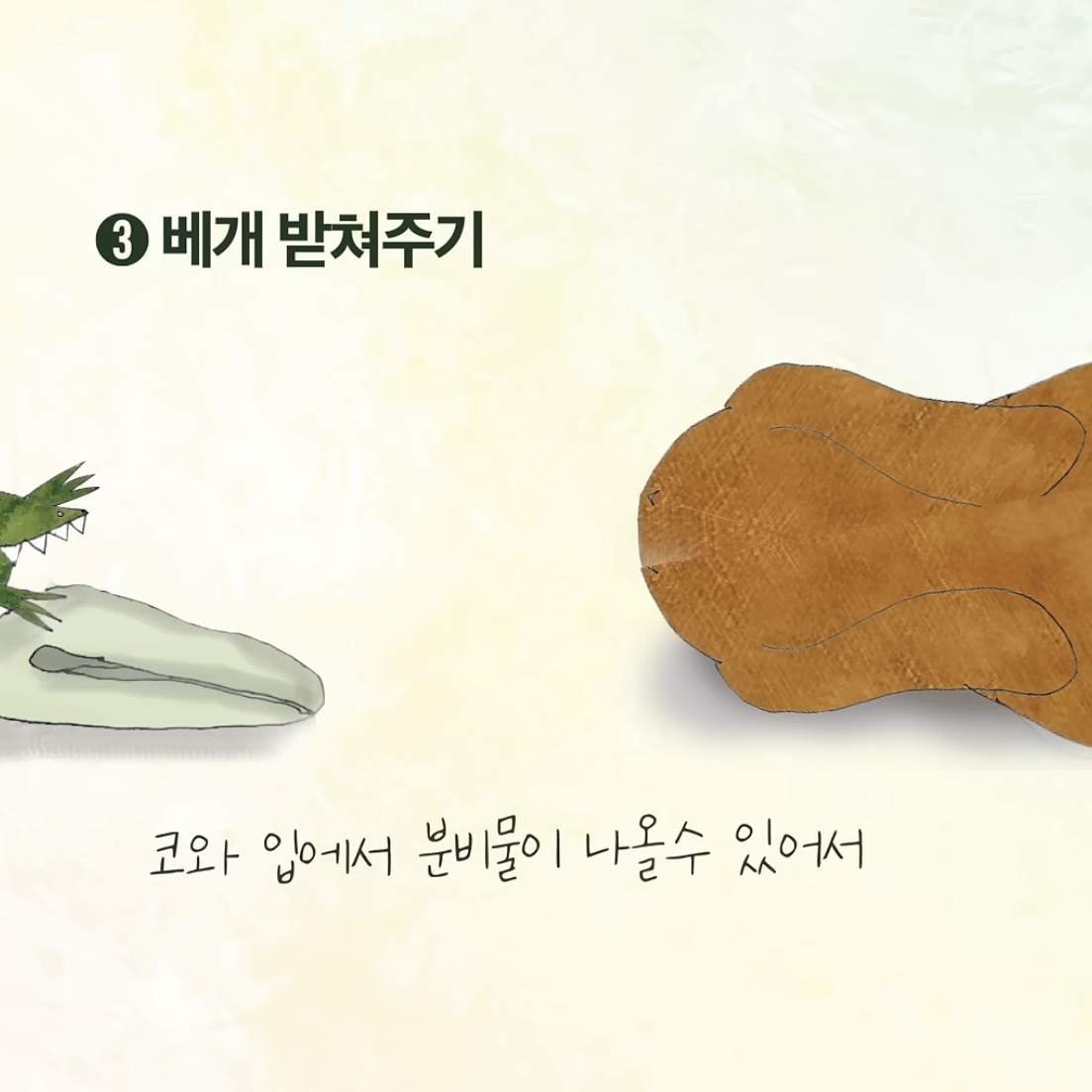 우리집 강아지가 죽으면 해야할 일.jpg | 인스티즈