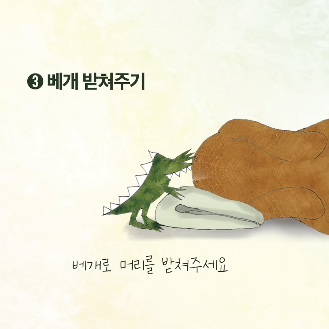 우리집 강아지가 죽으면 해야할 일.jpg | 인스티즈