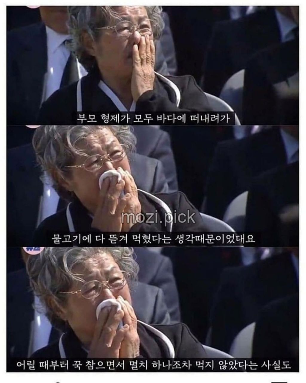 제주도 할머니가 생선을 먹지않는 이유 | 인스티즈