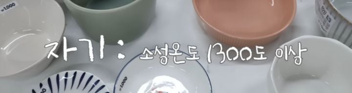 도예 유튜버가 알려주는 괜찮은 다이소 도자기 고르는 팁! | 인스티즈