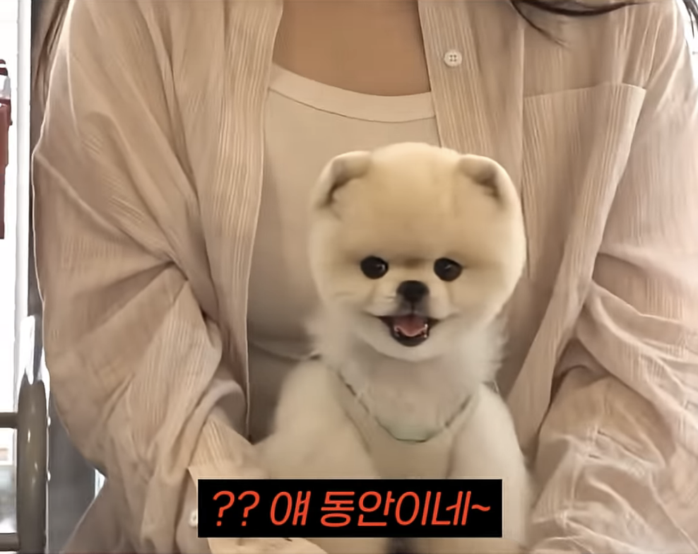 노년은 걱정 없는 김호영 | 인스티즈