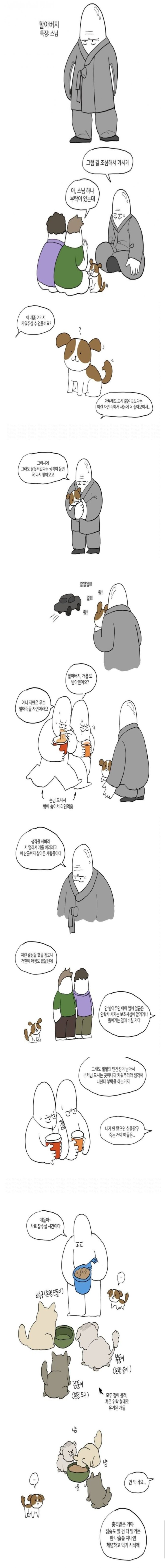 절에 버려진 개들 | 인스티즈
