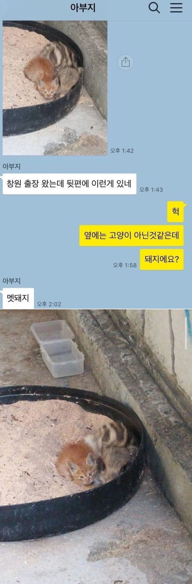 아부지가 출장가서 보낸 사진 | 인스티즈