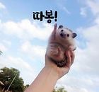 나에게 알맞는 AI 셋팅하는 방법 1탄 | 인스티즈