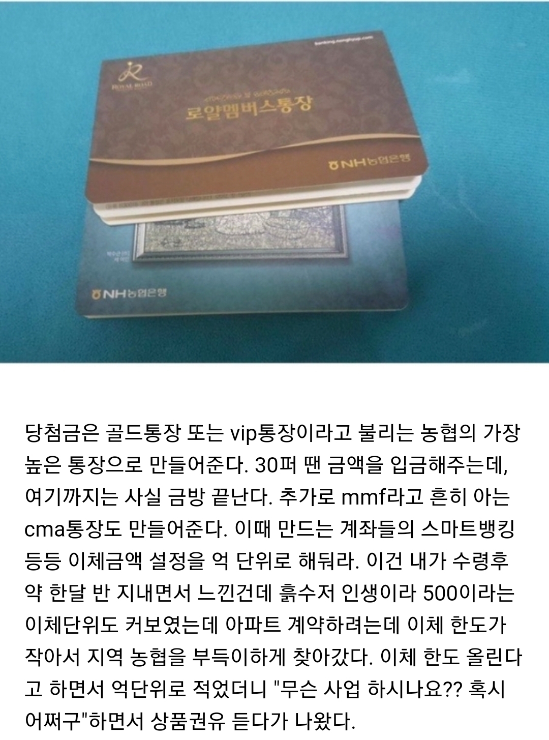 잠시 후 로또1등 당첨 전 숙지사항 | 인스티즈