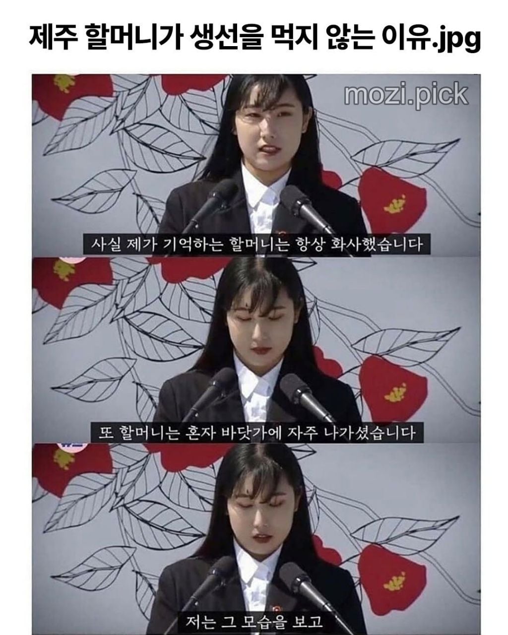 제주도 할머니가 생선을 먹지않는 이유 | 인스티즈