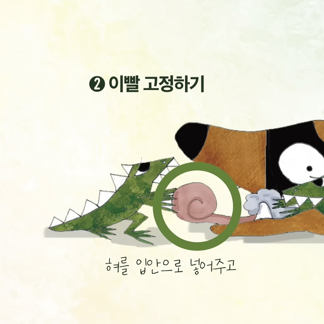 우리집 강아지가 죽으면 해야할 일.jpg | 인스티즈