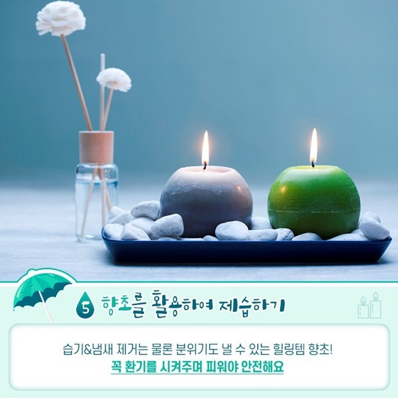 제습기 필요없어지는 자취방 습기 관리 꿀팁 (feat. 보일러) | 인스티즈