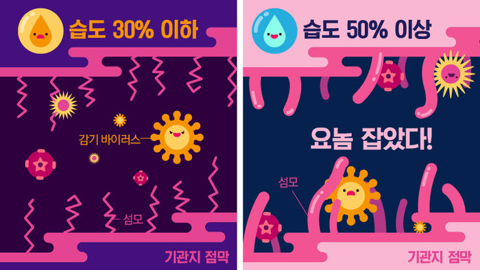 💧습도의 중요성💧 | 인스티즈