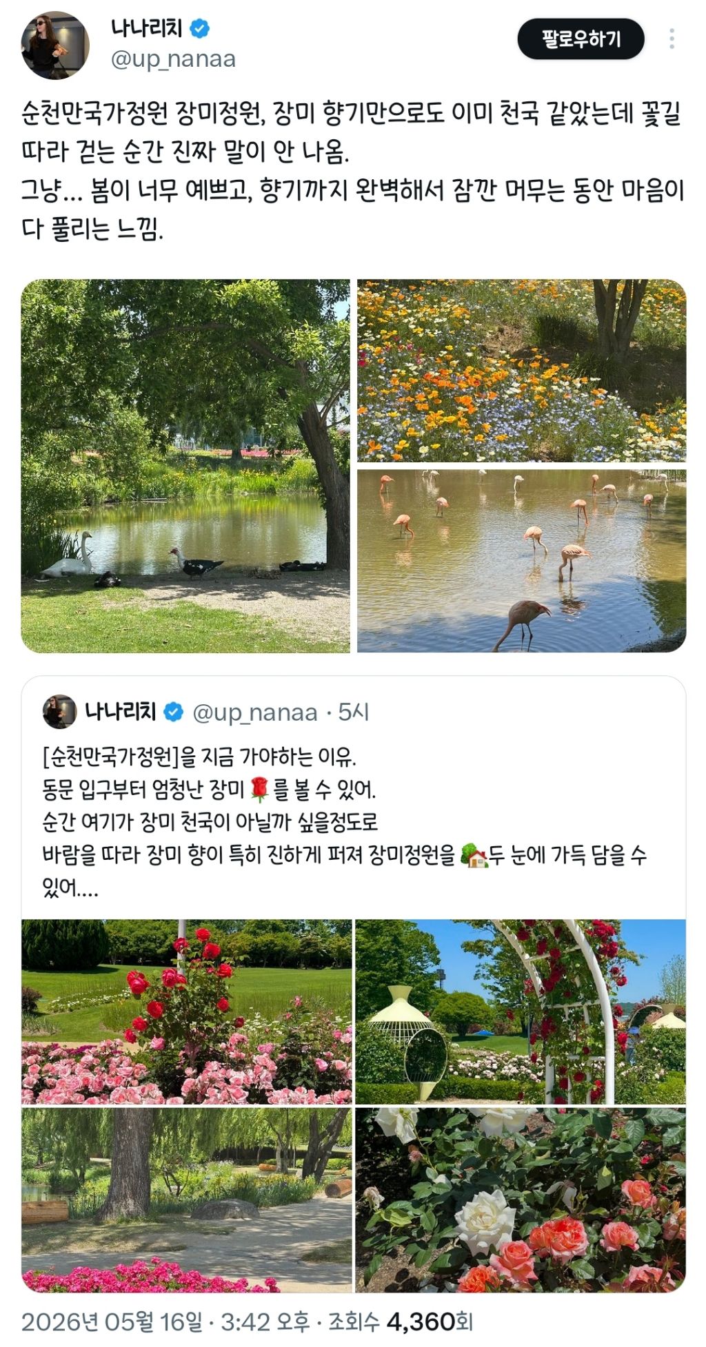5월의 순천만국가정원 보고 가세요.twt | 인스티즈