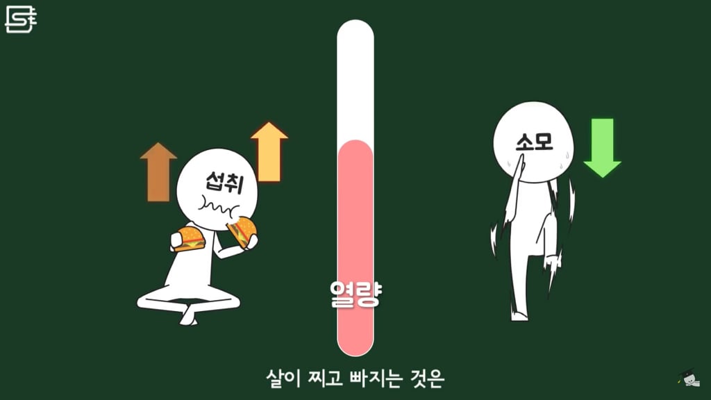 밥 먹고 바로 누우면 정말 살이 찔까? | 인스티즈