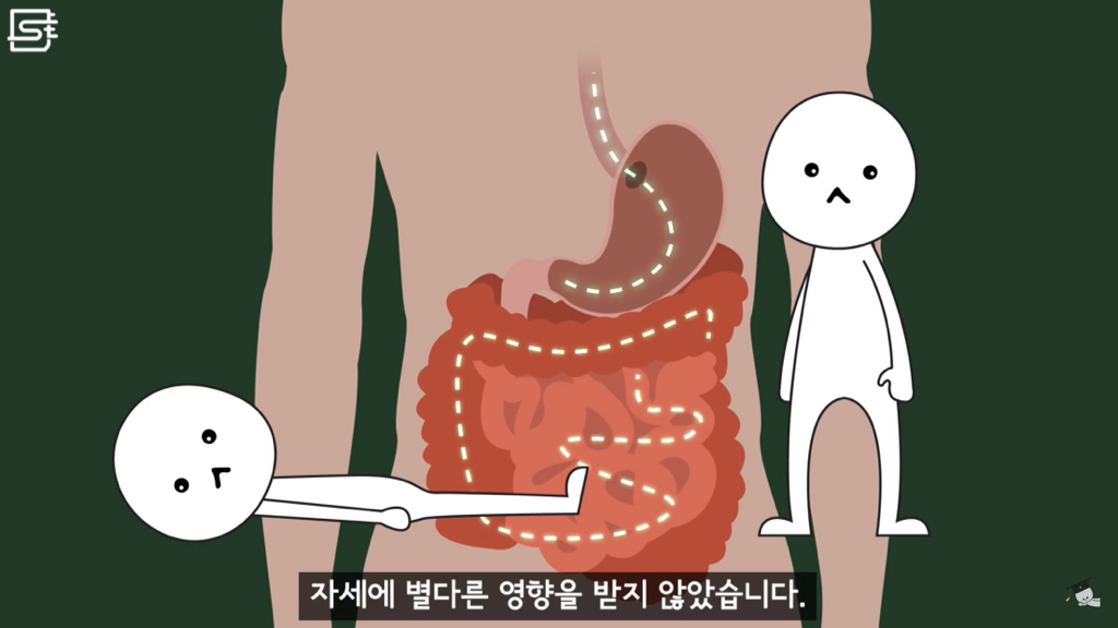 밥 먹고 바로 누우면 정말 살이 찔까? | 인스티즈