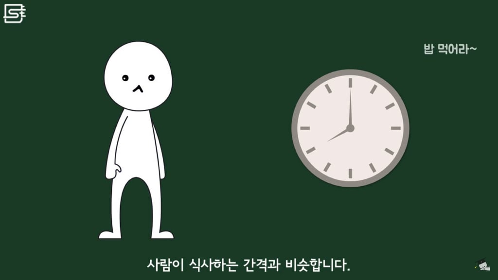 밥 먹고 바로 누우면 정말 살이 찔까? | 인스티즈