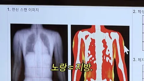 내장지방이 거의 없다는 아이돌 몸수치 레전드 | 인스티즈