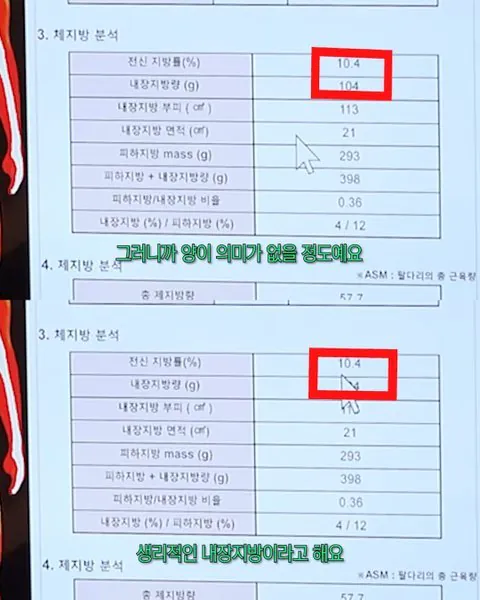 내장지방이 거의 없다는 아이돌 몸수치 레전드 | 인스티즈
