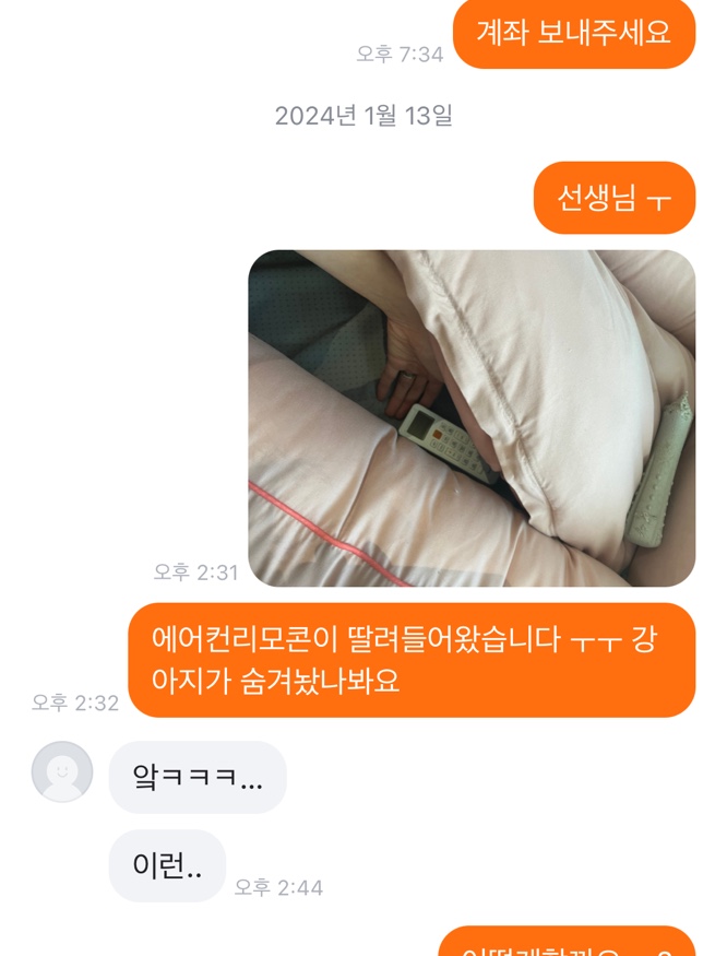 강아지방석 당근했는데 리모콘 딸려옴 ㅜㅜㅜ | 인스티즈