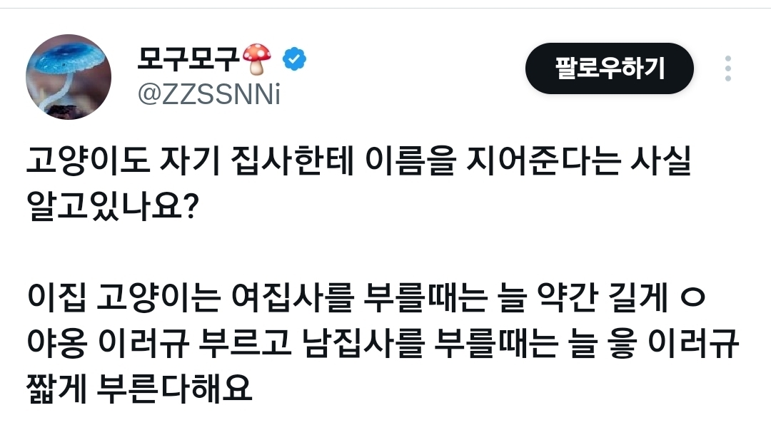 고앵이 진짜 생각보다 똑똑함.x | 인스티즈