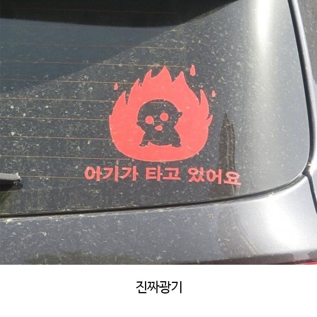아기가 타고 있어요 스티커 가짜와 진짜 | 인스티즈