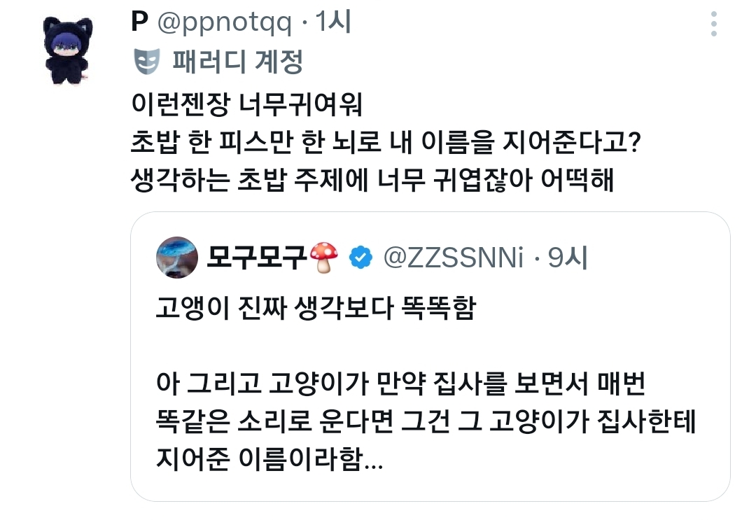 고앵이 진짜 생각보다 똑똑함.x | 인스티즈