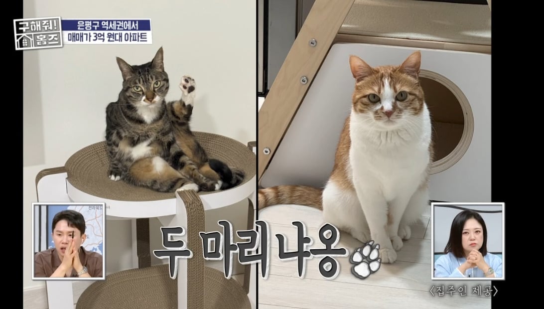 구해줘 홈즈 서울 은평구 불광동 매매가 3억 7천인 아파트 | 인스티즈