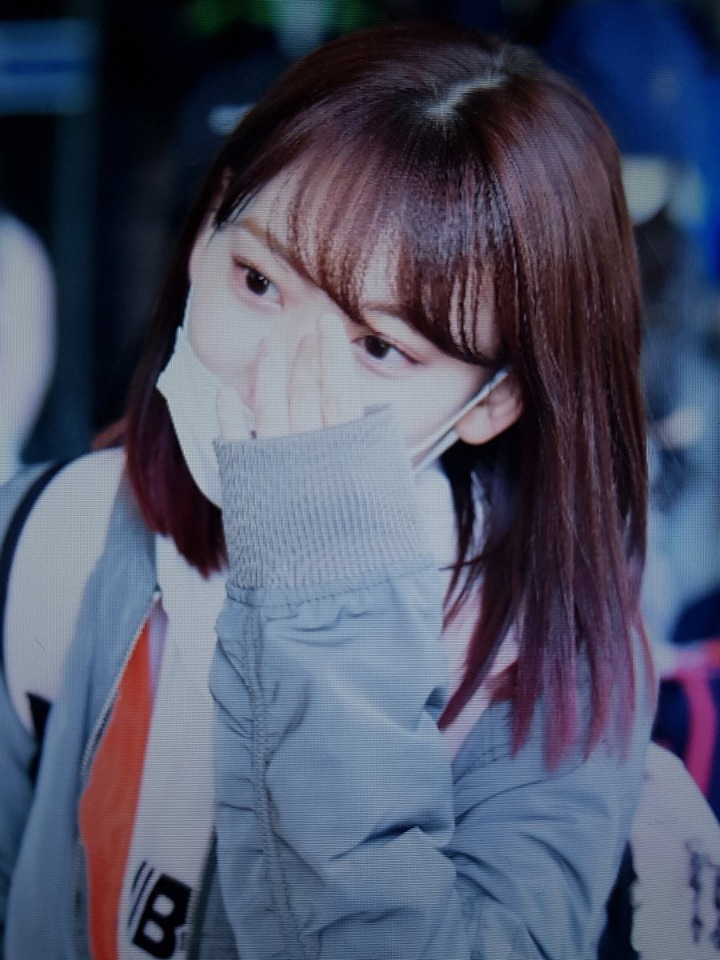 프듀48로 재입국하는 미야와키 사쿠라 공항사진 | 인스티즈