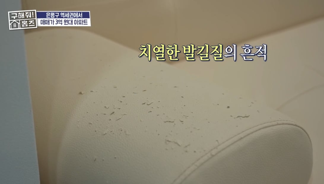 구해줘 홈즈 서울 은평구 불광동 매매가 3억 7천인 아파트 | 인스티즈