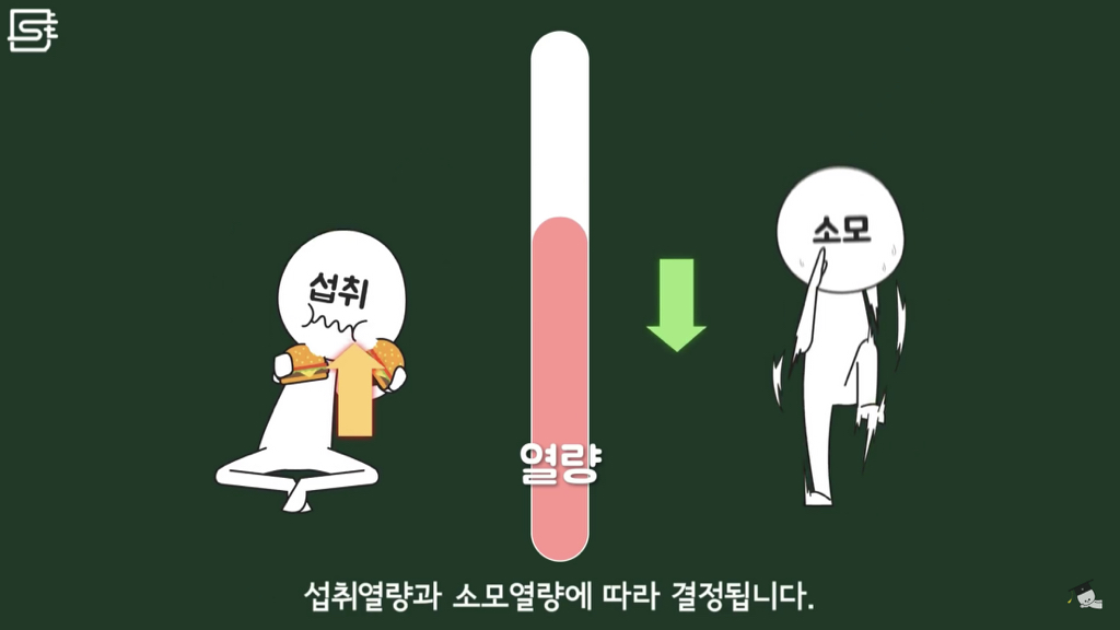 밥 먹고 바로 누우면 정말 살이 찔까? | 인스티즈