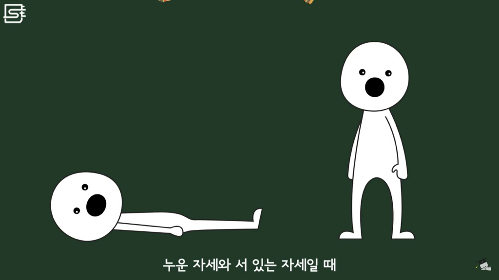 밥 먹고 바로 누우면 정말 살이 찔까? | 인스티즈
