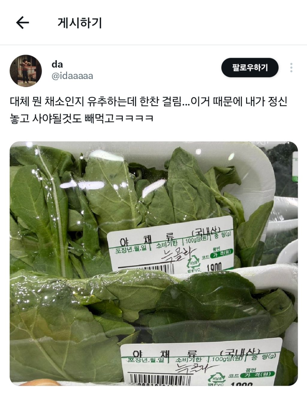 대체 뭔 채소인지 유추하는데 한참 걸림... | 인스티즈