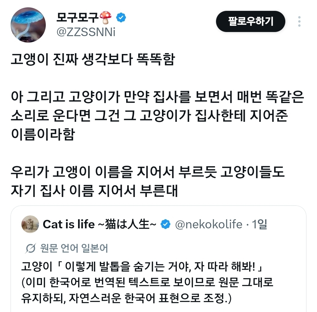 고앵이 진짜 생각보다 똑똑함.x | 인스티즈