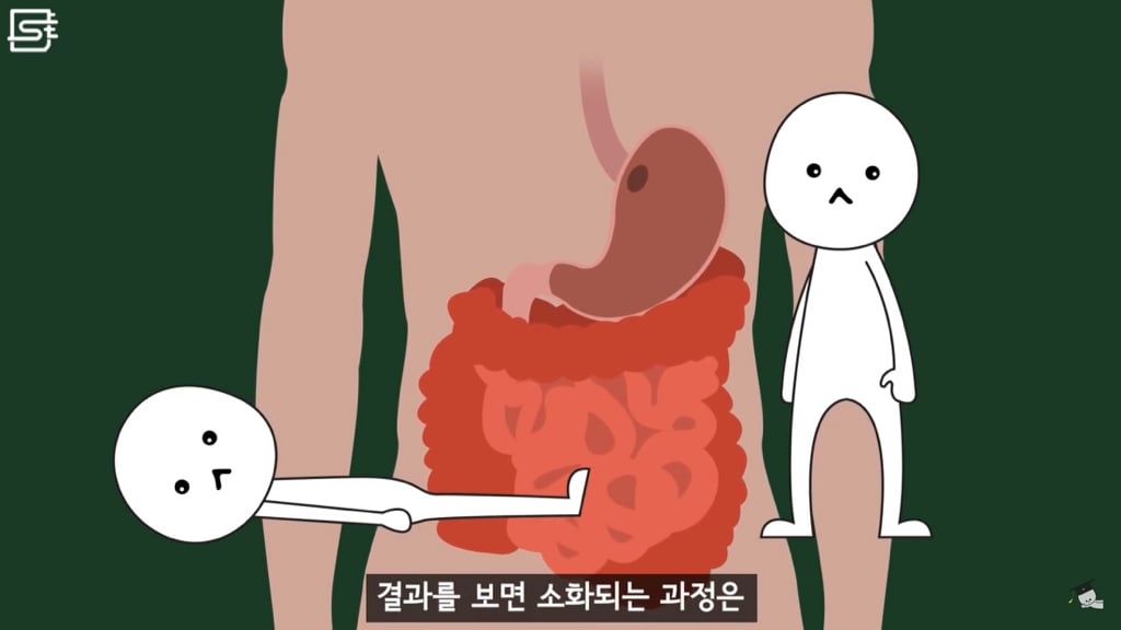 밥 먹고 바로 누우면 정말 살이 찔까? | 인스티즈