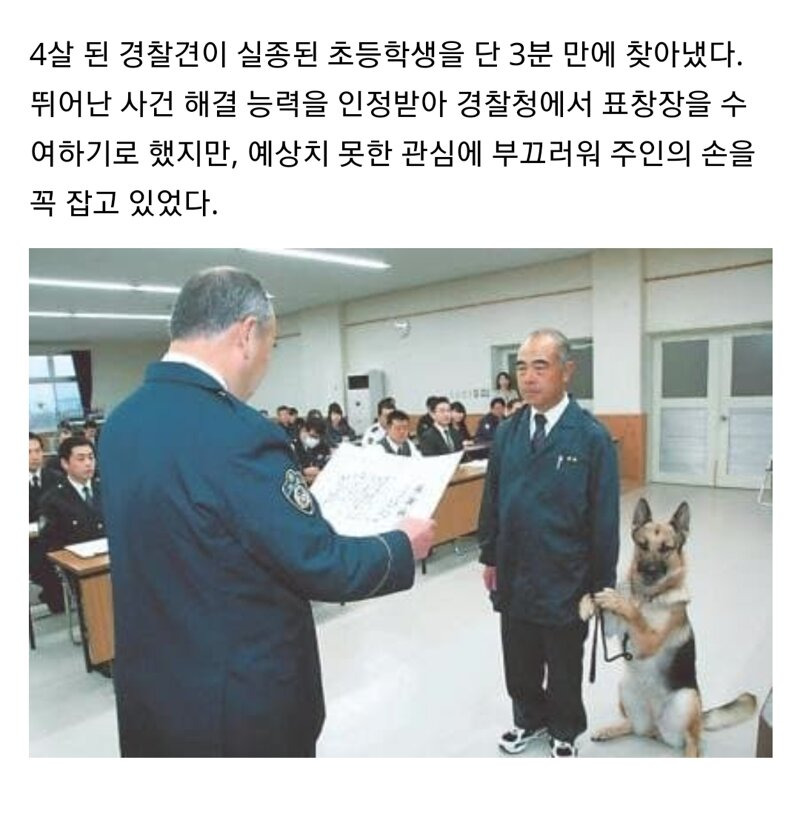 표창장 받느라 긴장한 경찰견 | 인스티즈