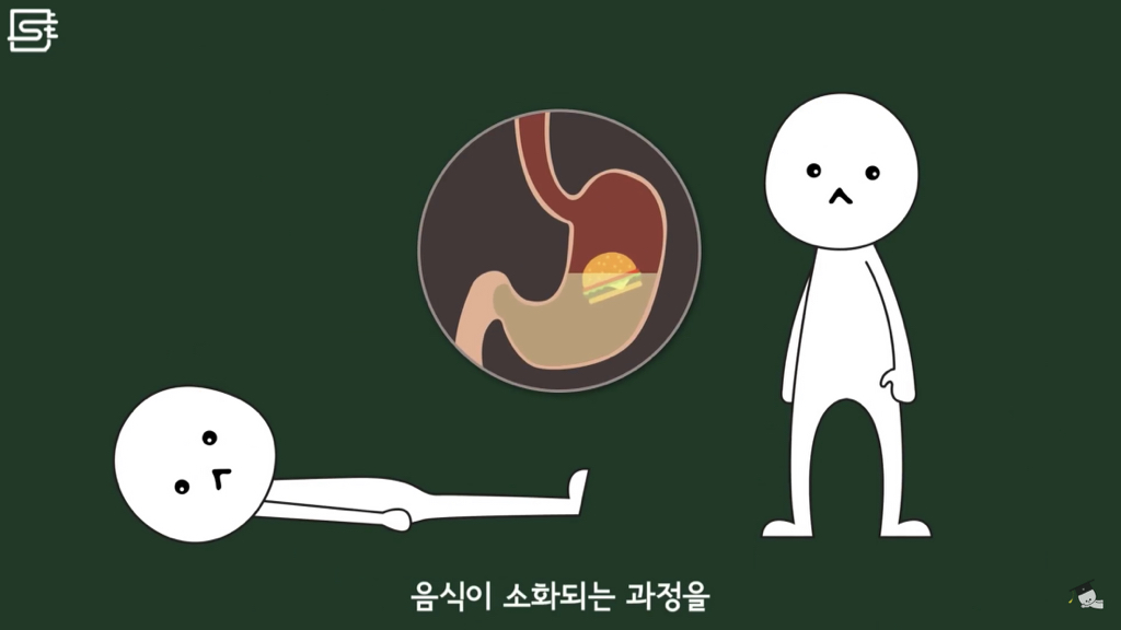 밥 먹고 바로 누우면 정말 살이 찔까? | 인스티즈