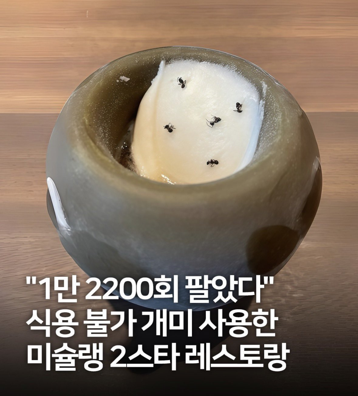 '개미 디저트' 때문에…'미슐랭 2스타' 기소 | 인스티즈