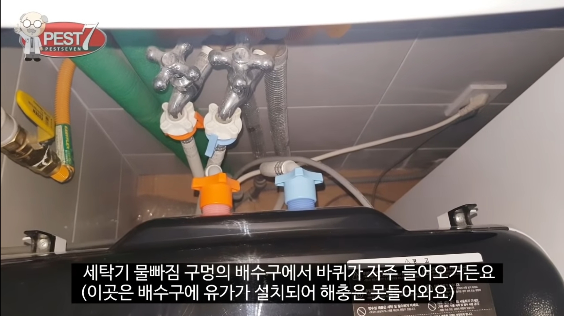 바퀴벌레가 집으로 들어오는..놀라운 경로들.jpg | 인스티즈