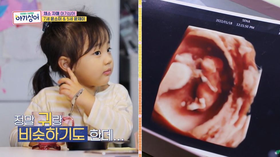 어른들이 사이좋은 형제자매에 미치는 이유...jpg | 인스티즈