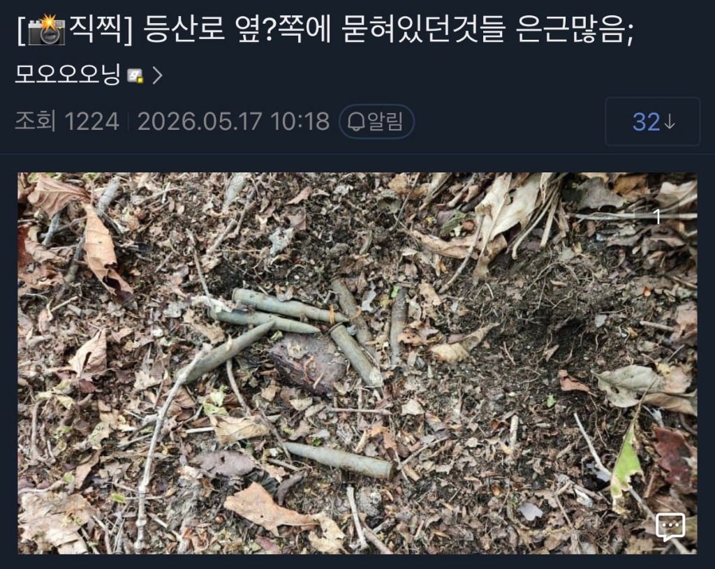 실시간 등산하다 불발탄 주운 군갤럼 | 인스티즈