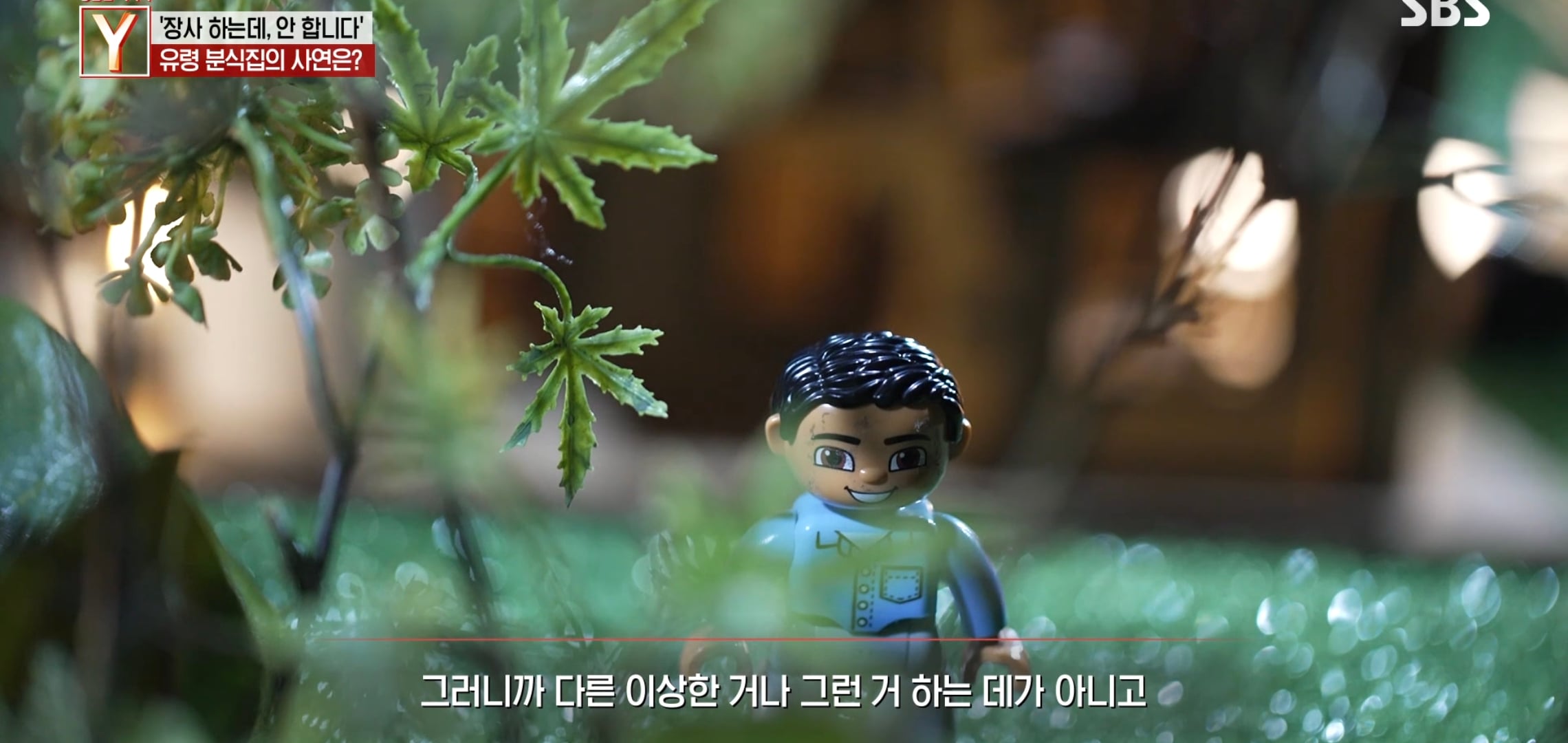 여시 핫플 수상한 피자집 궁금한 이야기 Y에 나왔는데 더 수상함.jpg | 인스티즈